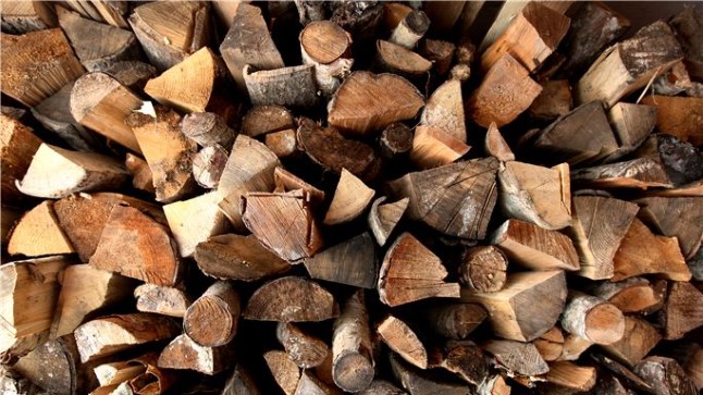 کشف چوب قاچاق جنگلی در بخش سده اقلید