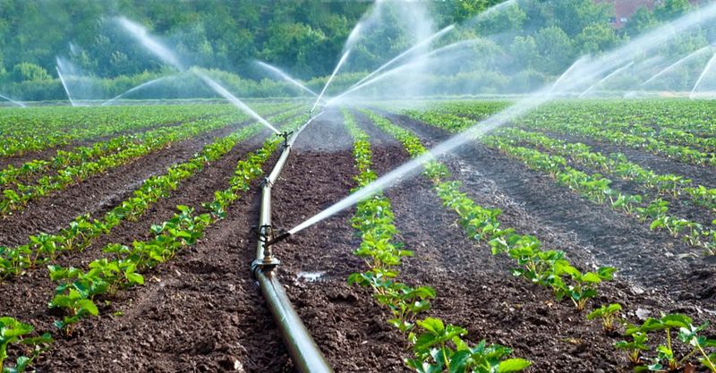 اجرای آبیاری نوین در هزار و ۶۳۹ هکتار اراضی کشاورزی اقلید