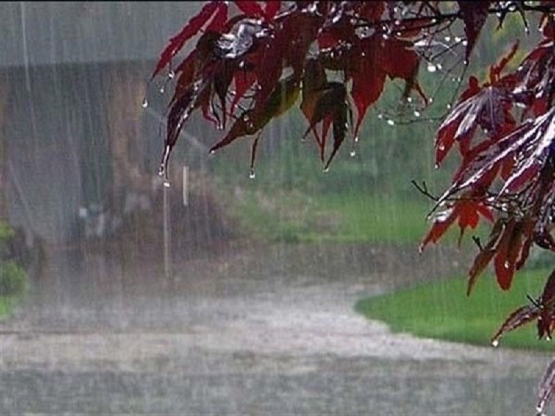 بیشترین میزان بارش فارس در اقلید ثبت شد
