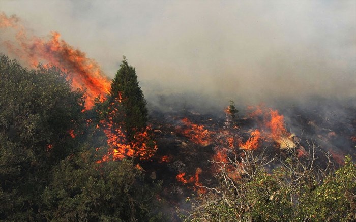 مهار آتش سوزی منابع طبیعی در شهرستان اقلید